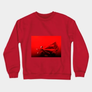 Vermilion Crewneck Sweatshirt